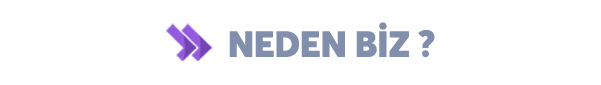 03.png